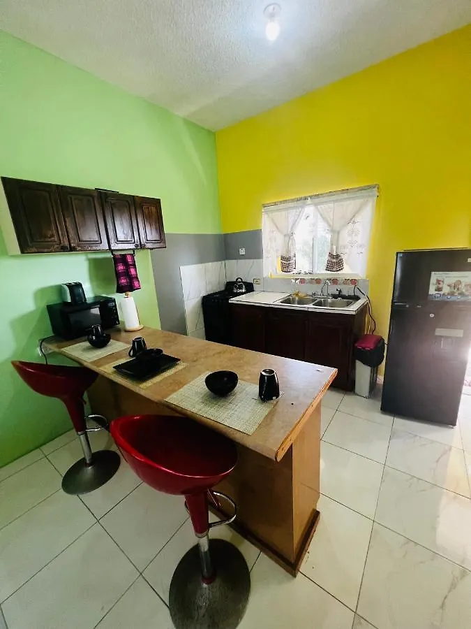 Spring Palm Estate Apartment St Mary